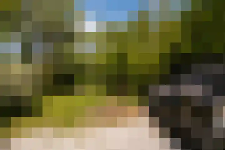 Nijbuorren 3 Hemelum thumbnail 53