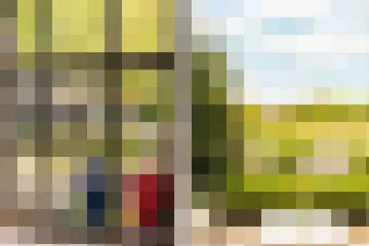 Nijbuorren 3 Hemelum thumbnail 54