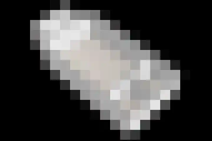 Nijbuorren 3 Hemelum thumbnail 60