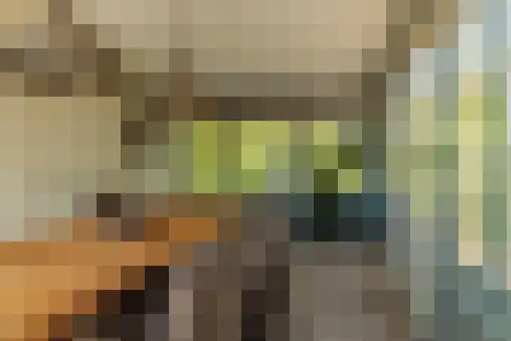 Nijbuorren 3 Hemelum thumbnail 8