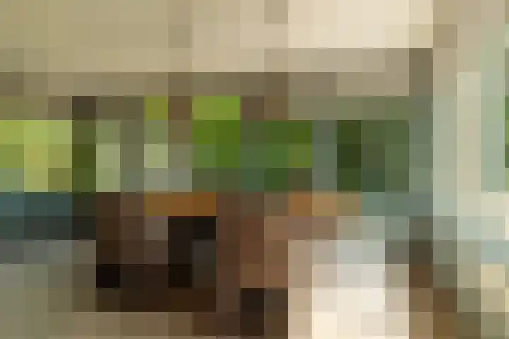 Nijbuorren 3 Hemelum thumbnail 9