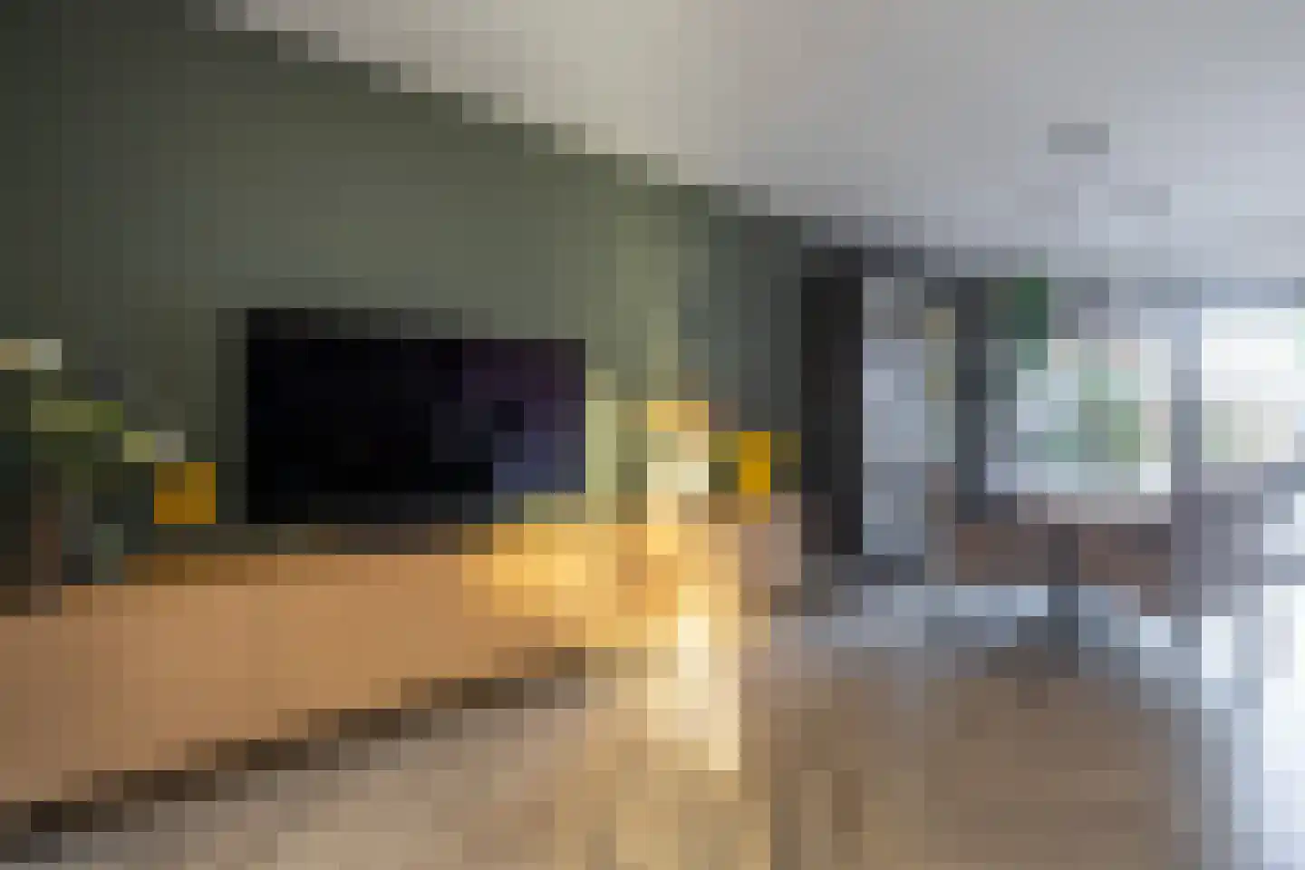 Nijbuorren 34 Easternijtsjerk thumbnail 14