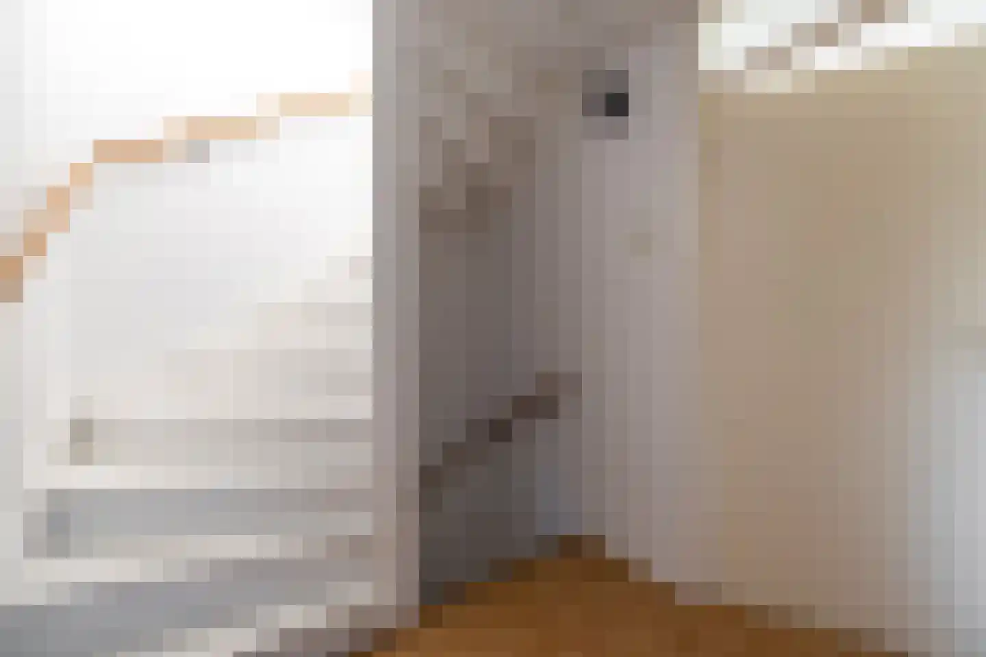 Nijbuorren 34 Easternijtsjerk thumbnail 28