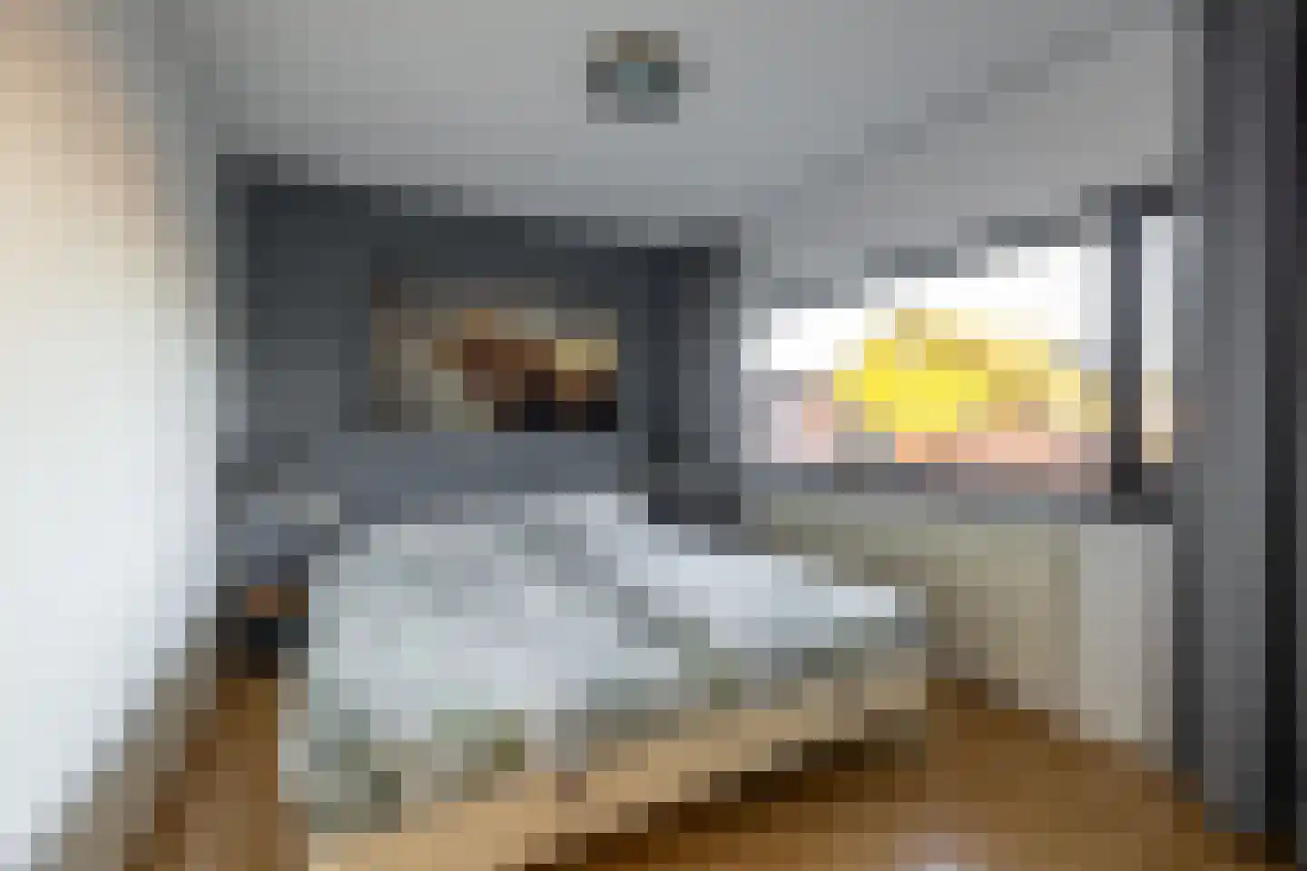 Nijbuorren 34 Easternijtsjerk thumbnail 29