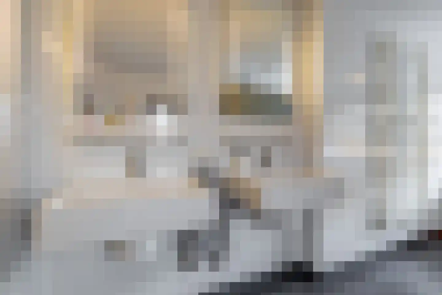 Nijbuorren 34 Easternijtsjerk thumbnail 38