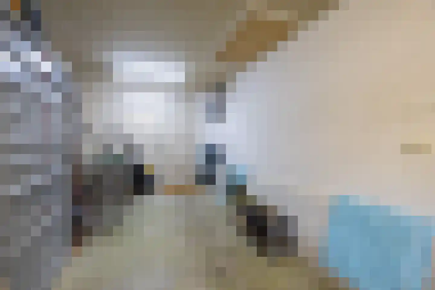Nijbuorren 34 Easternijtsjerk thumbnail 52