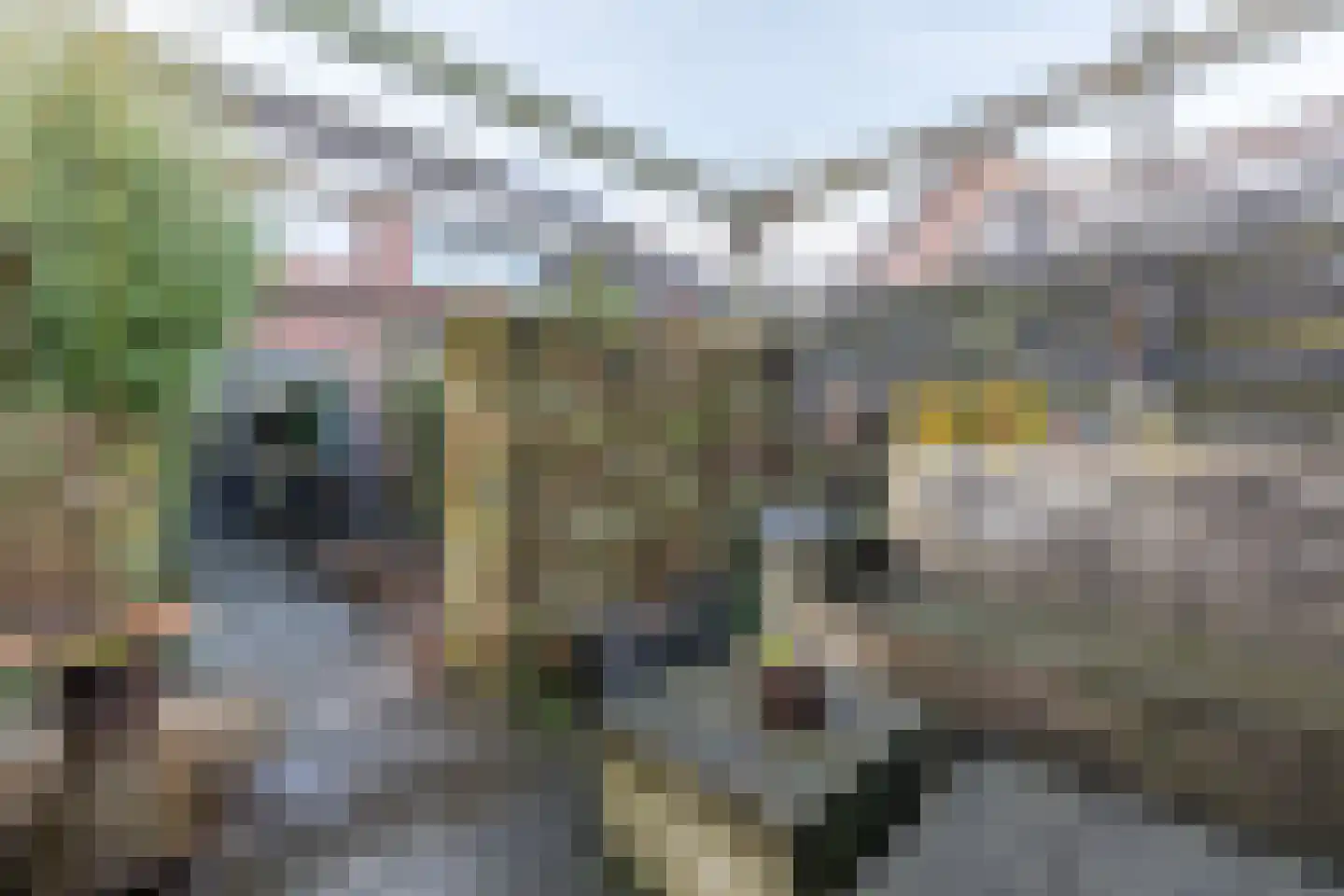 Nijbuorren 34 Easternijtsjerk thumbnail 63