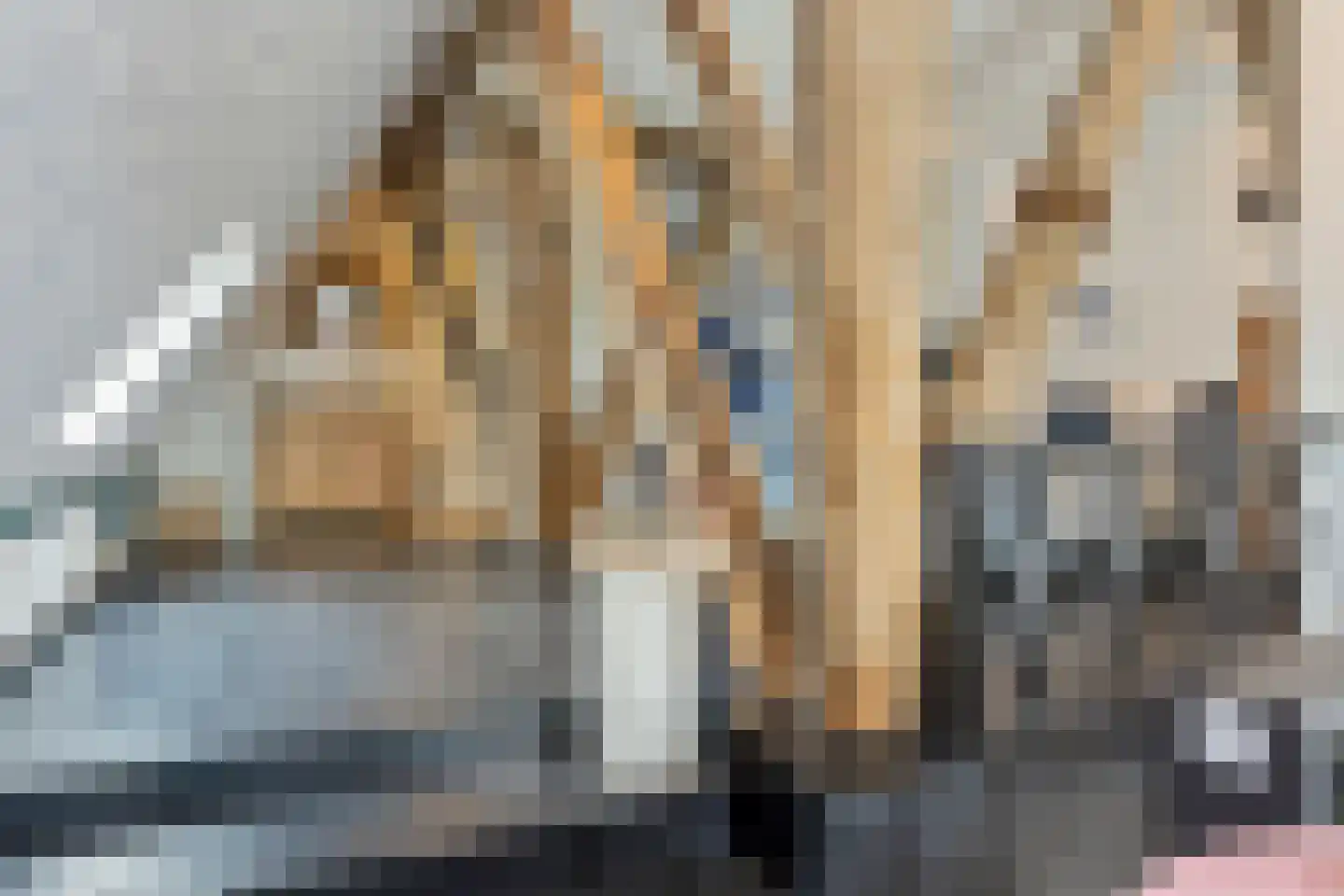 Nijbuorren 8 Ternaard thumbnail 11