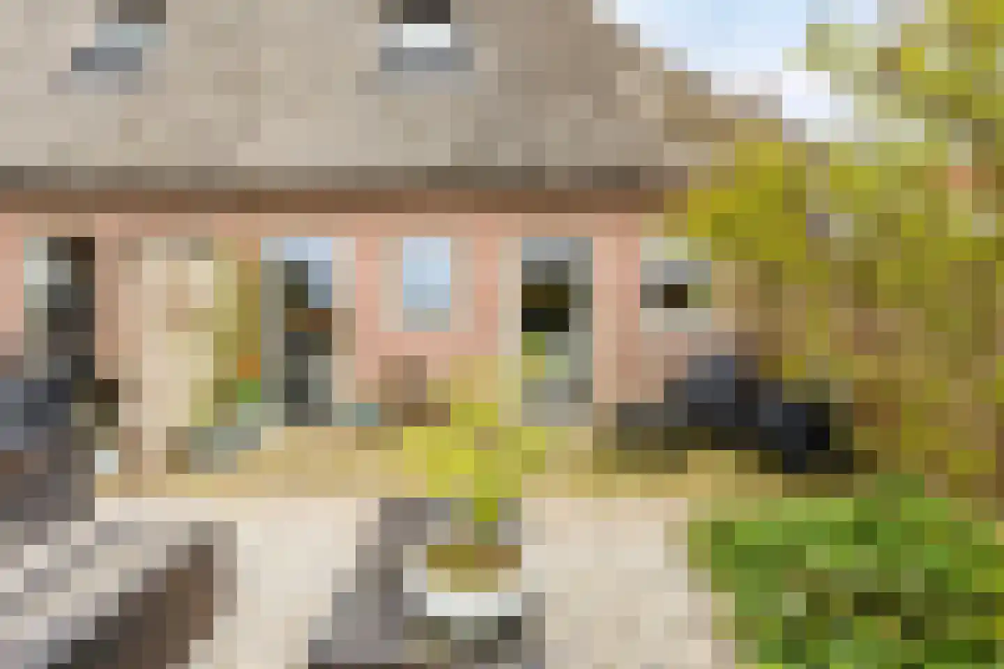 Nijbuorren 8 Ternaard thumbnail 13
