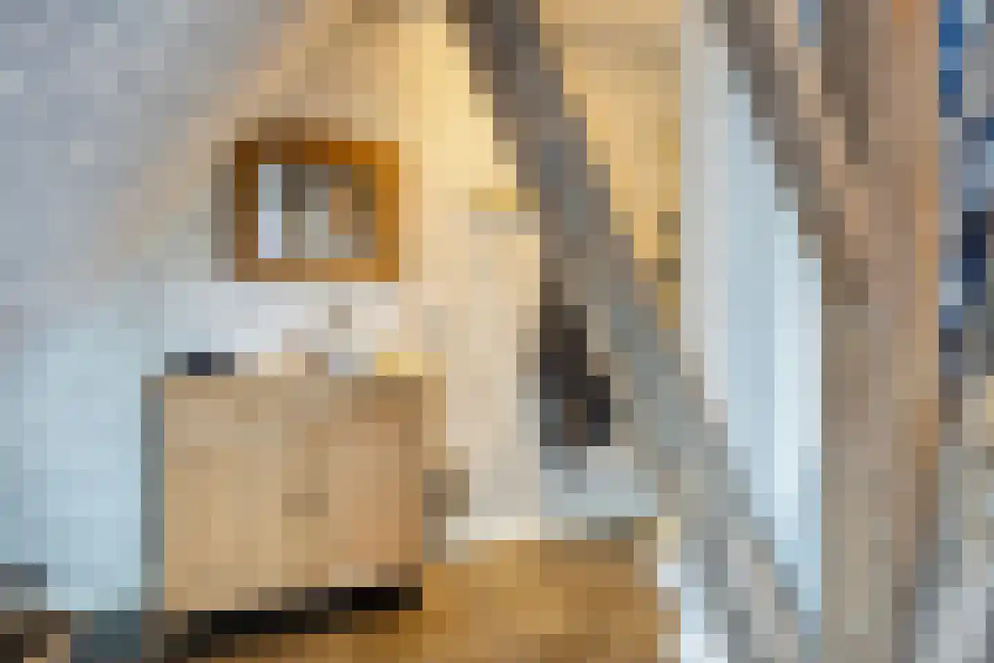 Nijbuorren 8 Ternaard thumbnail 16