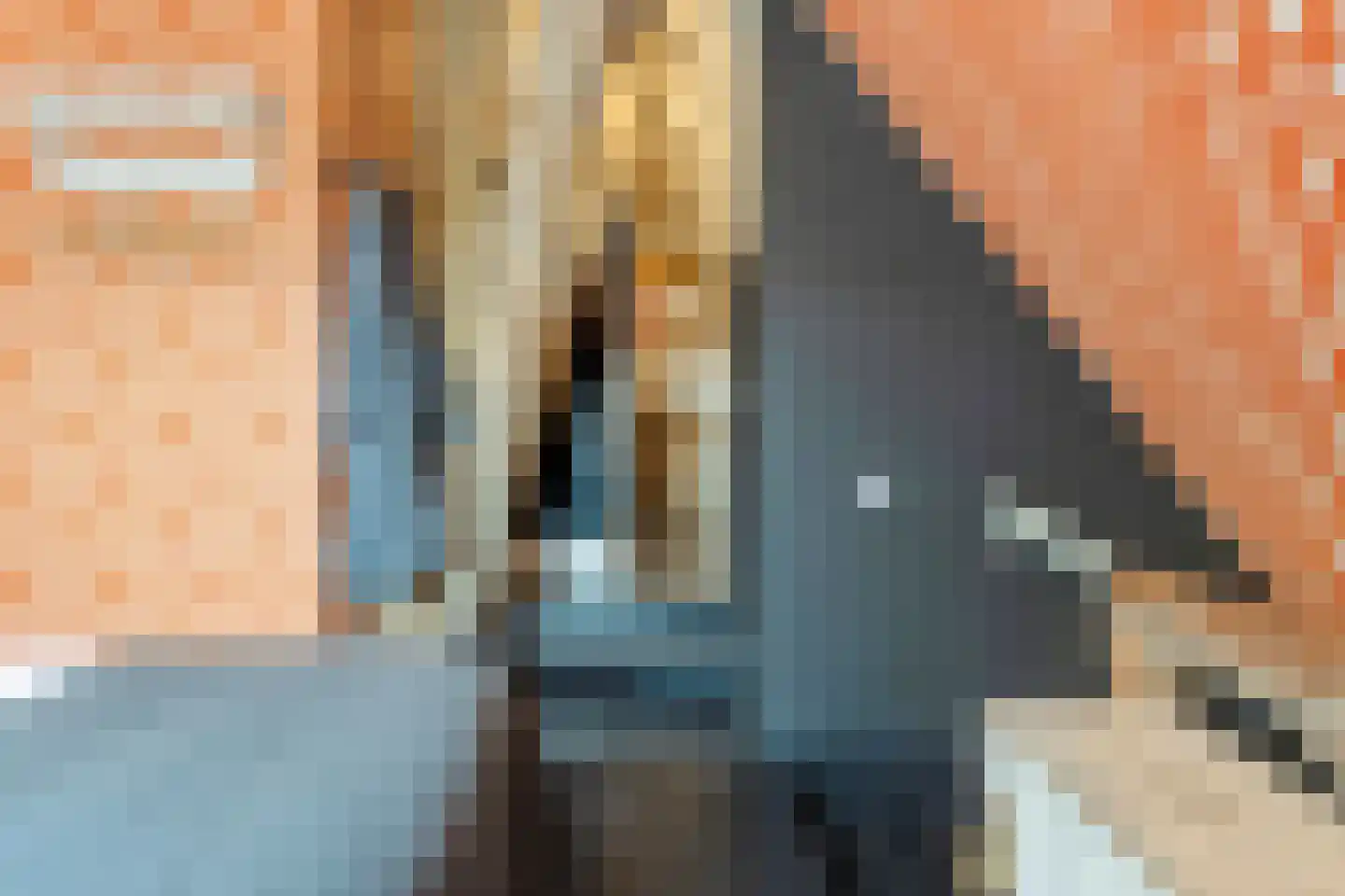 Nijbuorren 8 Ternaard thumbnail 19