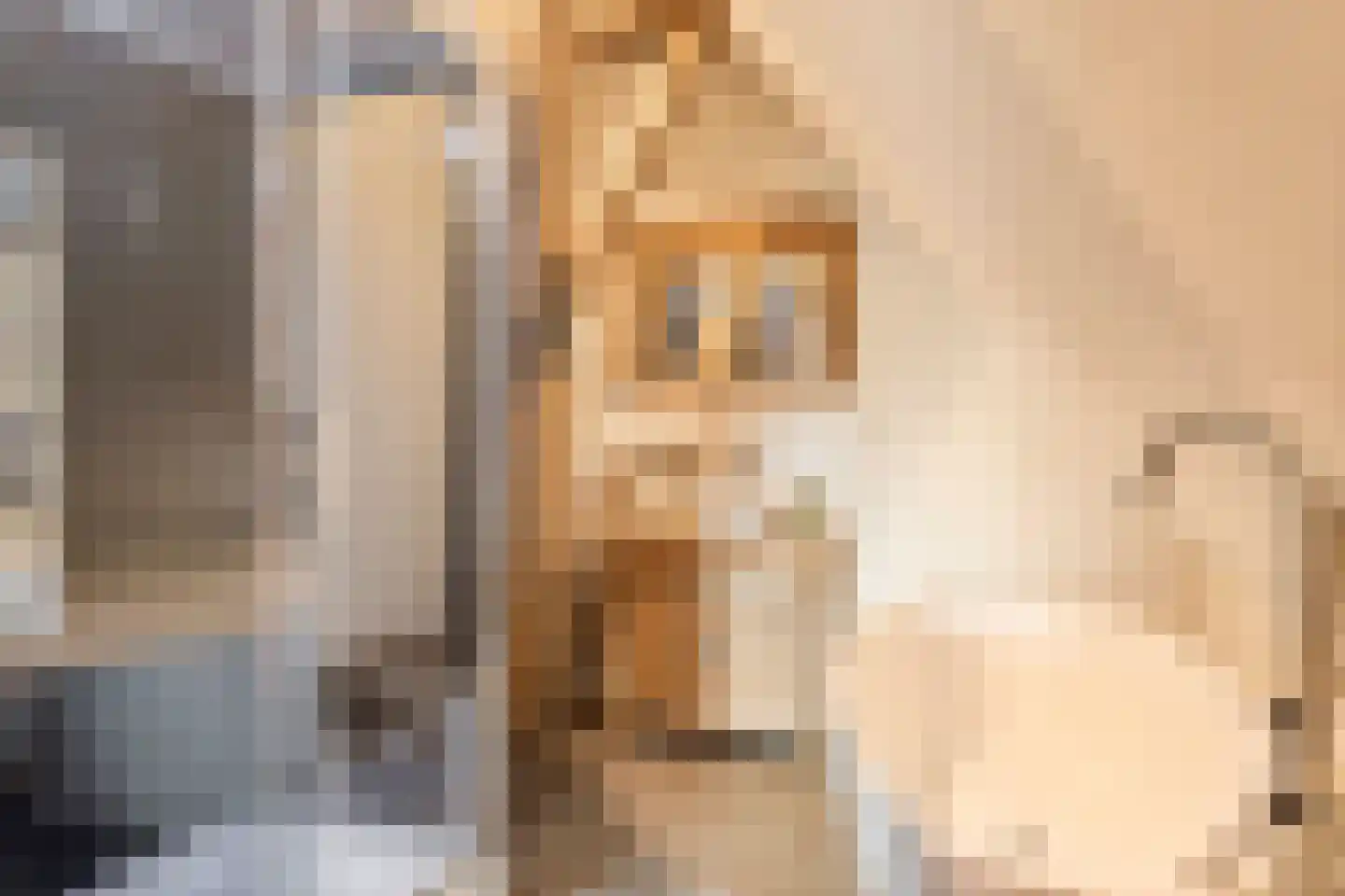 Nijbuorren 8 Ternaard thumbnail 20