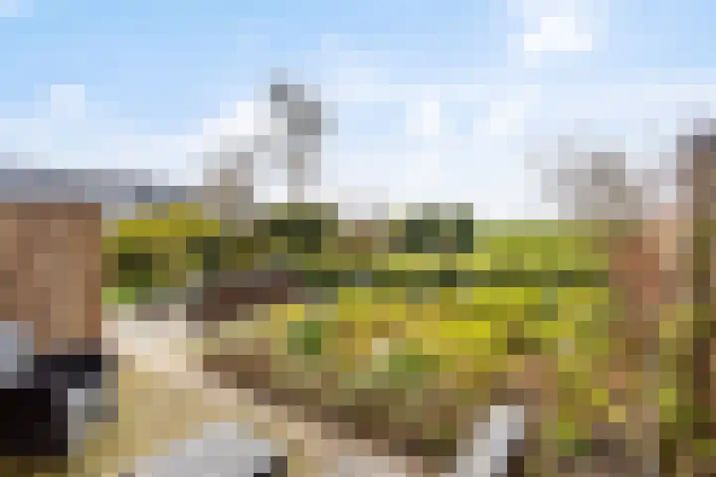 Nijbuorren 8 Ternaard thumbnail 22