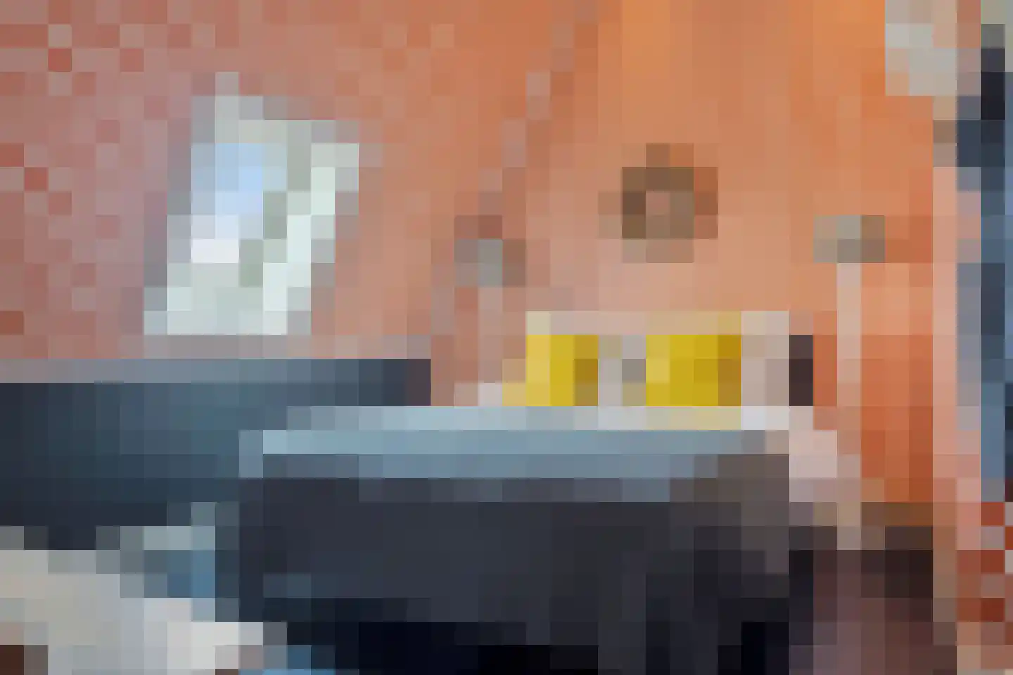 Nijbuorren 8 Ternaard thumbnail 25