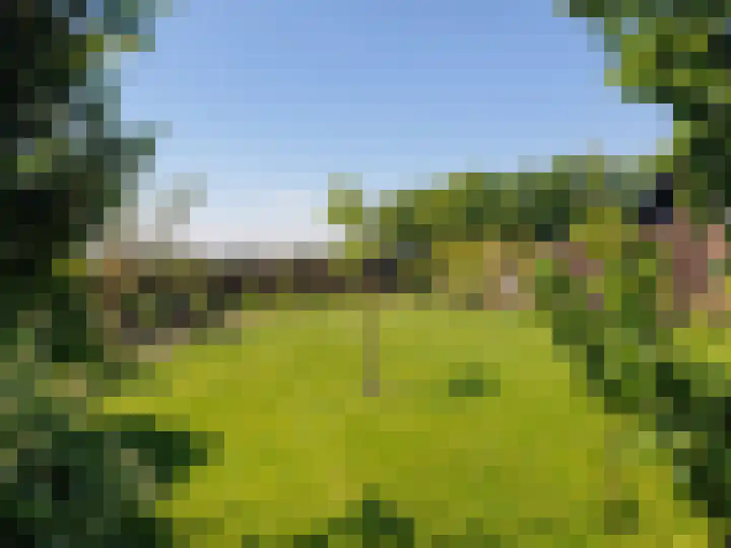 Nijbuorren 8 Ternaard thumbnail 26