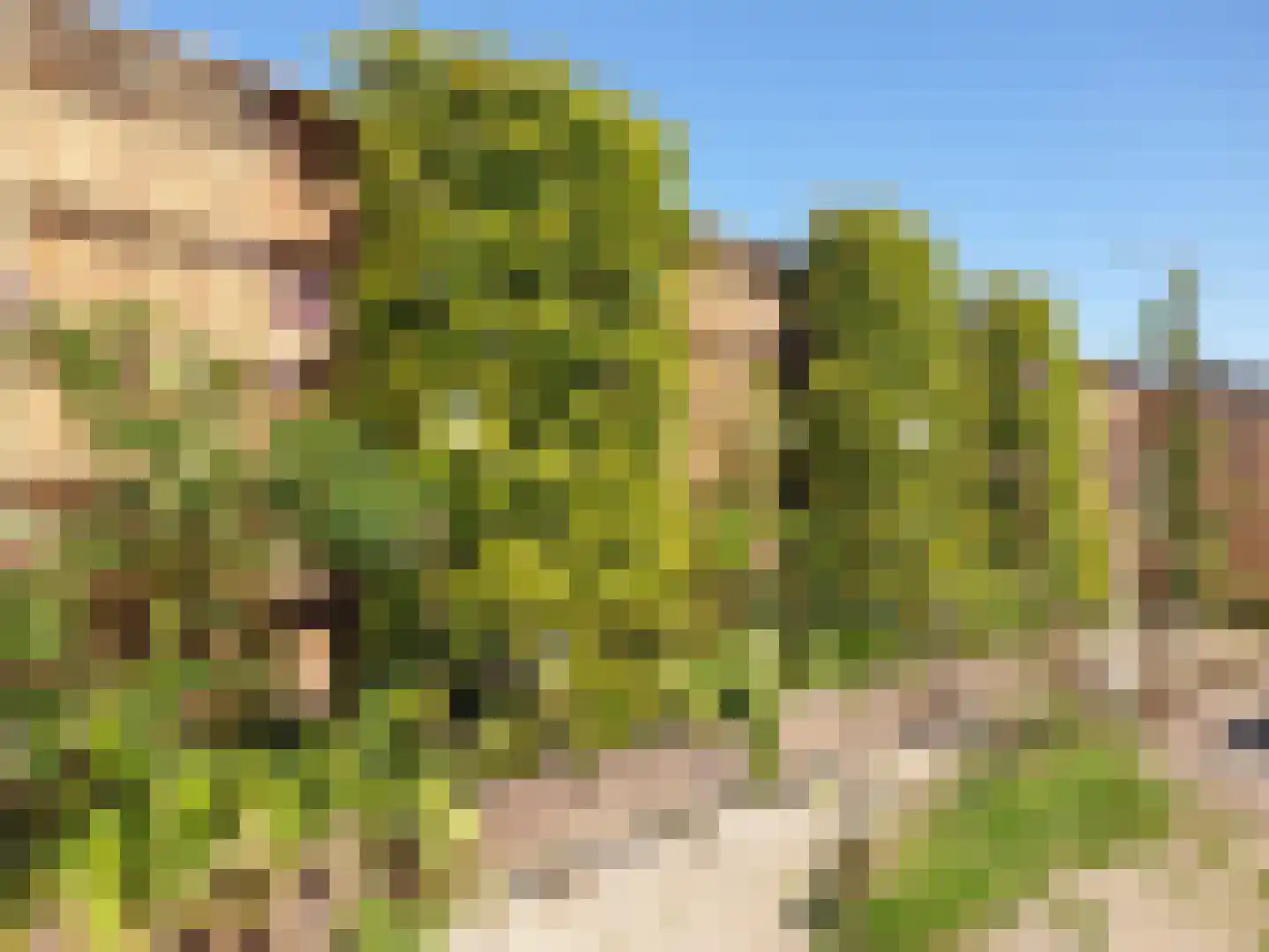 Nijbuorren 8 Ternaard thumbnail 29