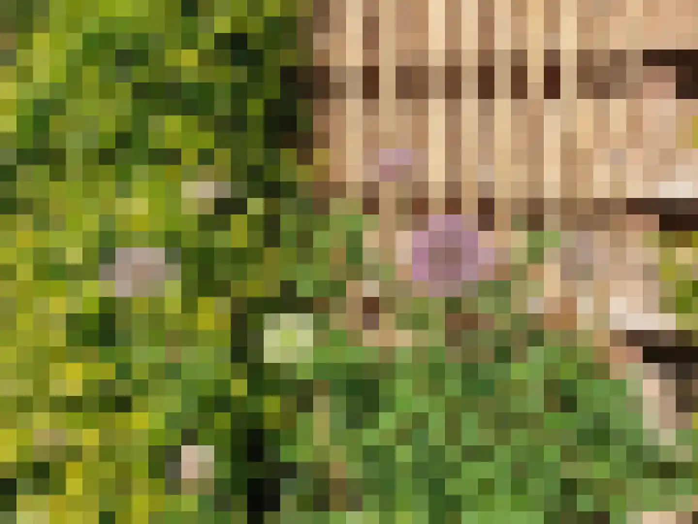 Nijbuorren 8 Ternaard thumbnail 30