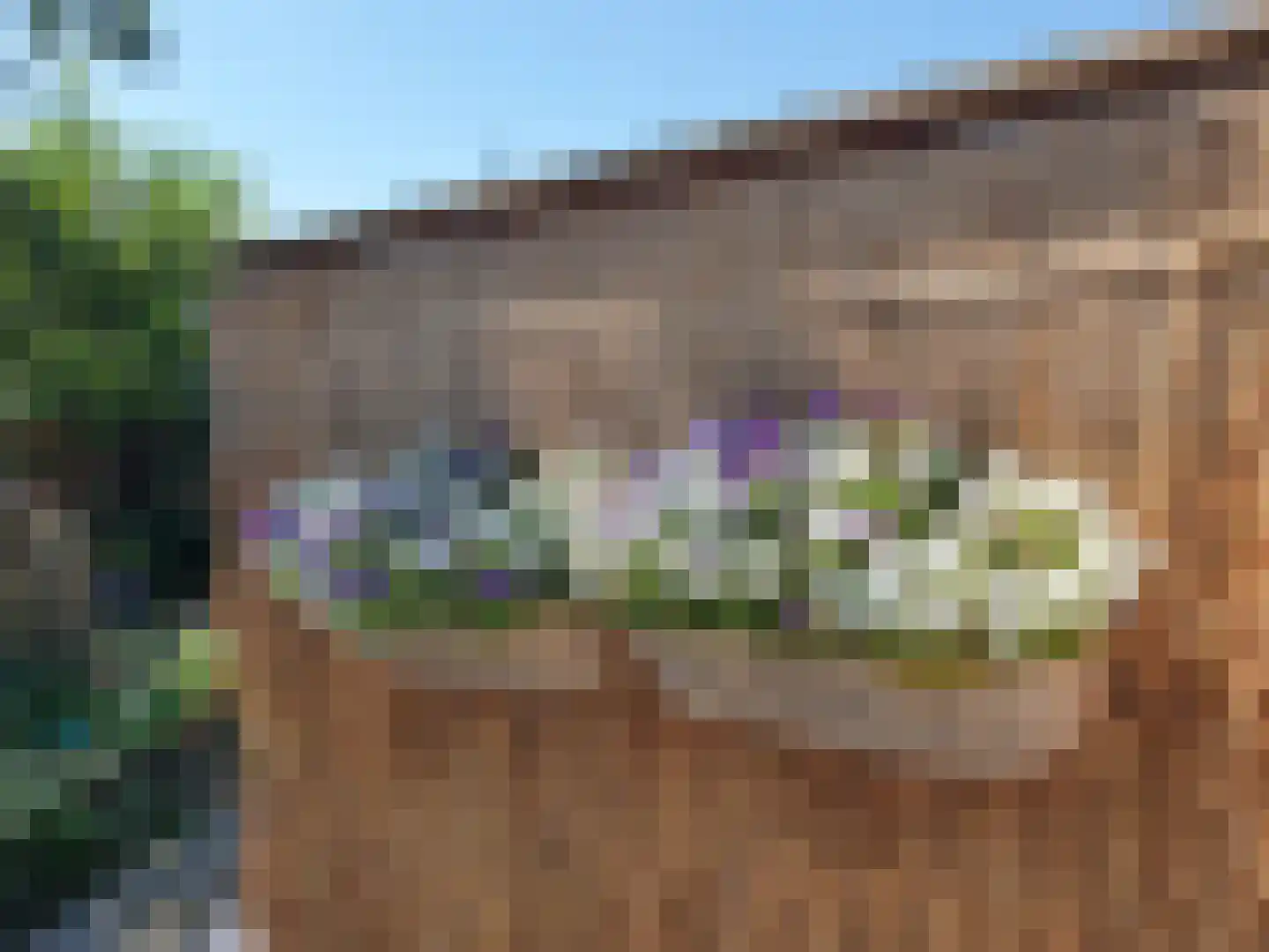 Nijbuorren 8 Ternaard thumbnail 31