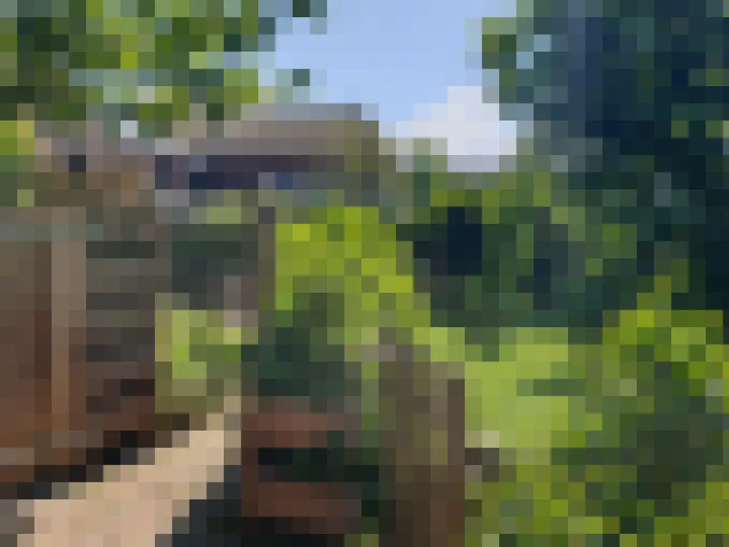 Nijbuorren 8 Ternaard thumbnail 32