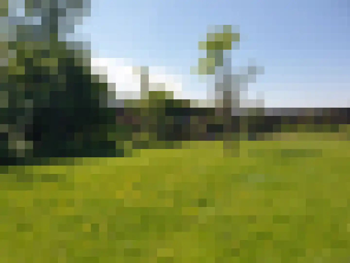 Nijbuorren 8 Ternaard thumbnail 33