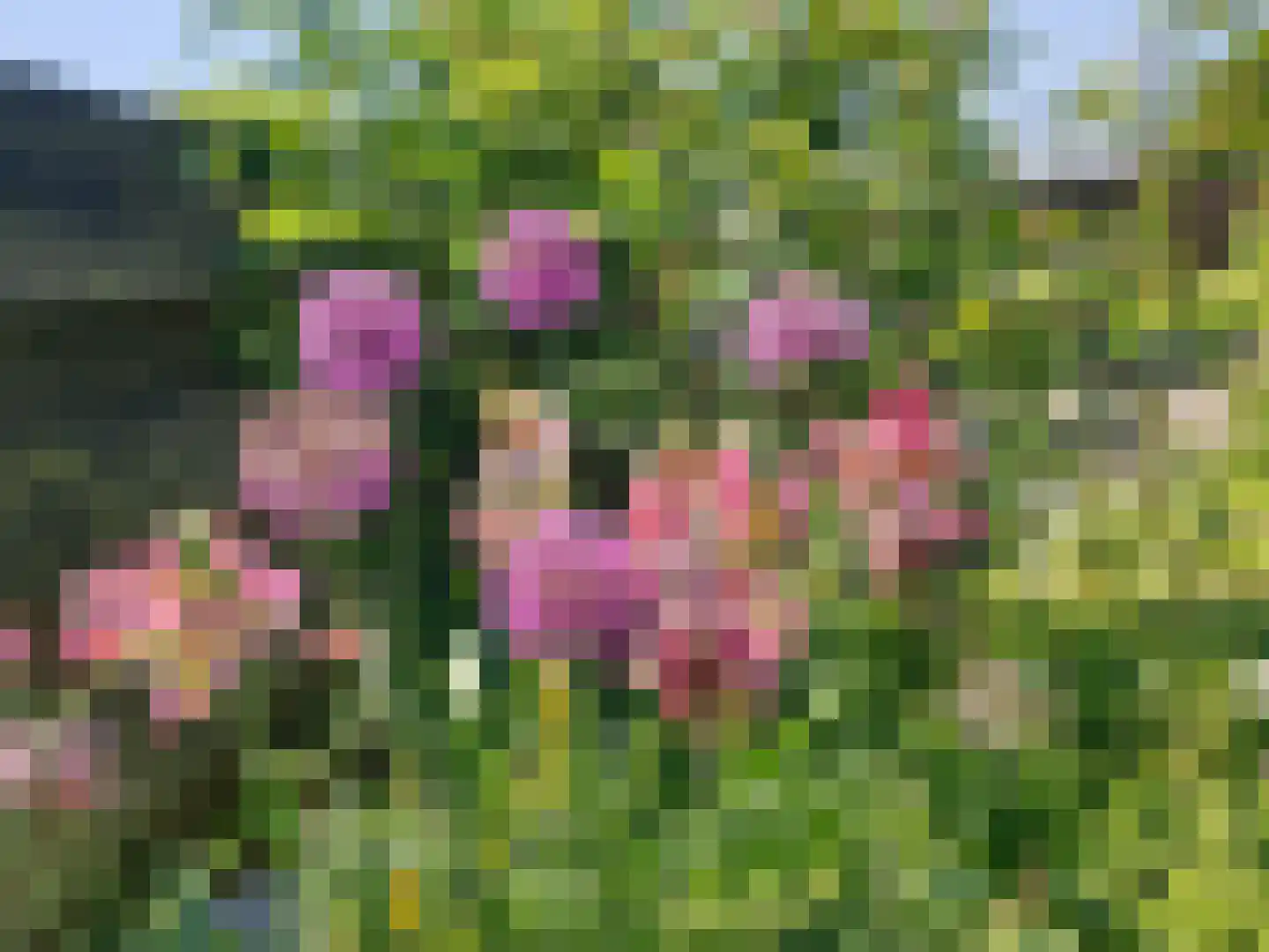 Nijbuorren 8 Ternaard thumbnail 34