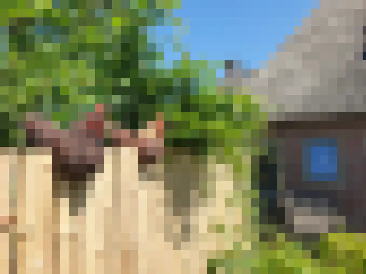 Nijbuorren 8 Ternaard thumbnail 36