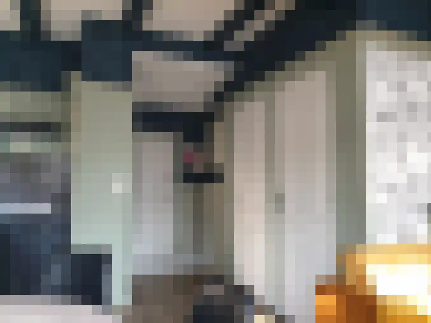 Nijbuorren 8 Ternaard thumbnail 38