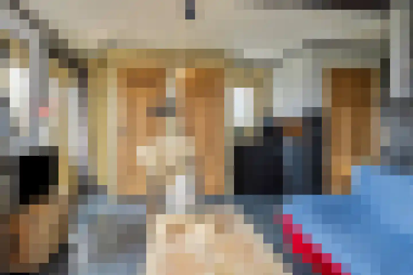 Nijbuorren 8 Ternaard thumbnail 4