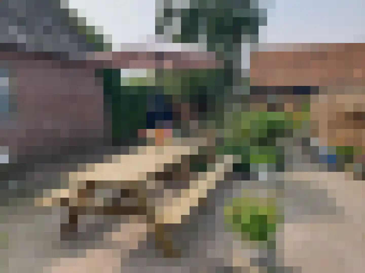 Nijbuorren 8 Ternaard thumbnail 41