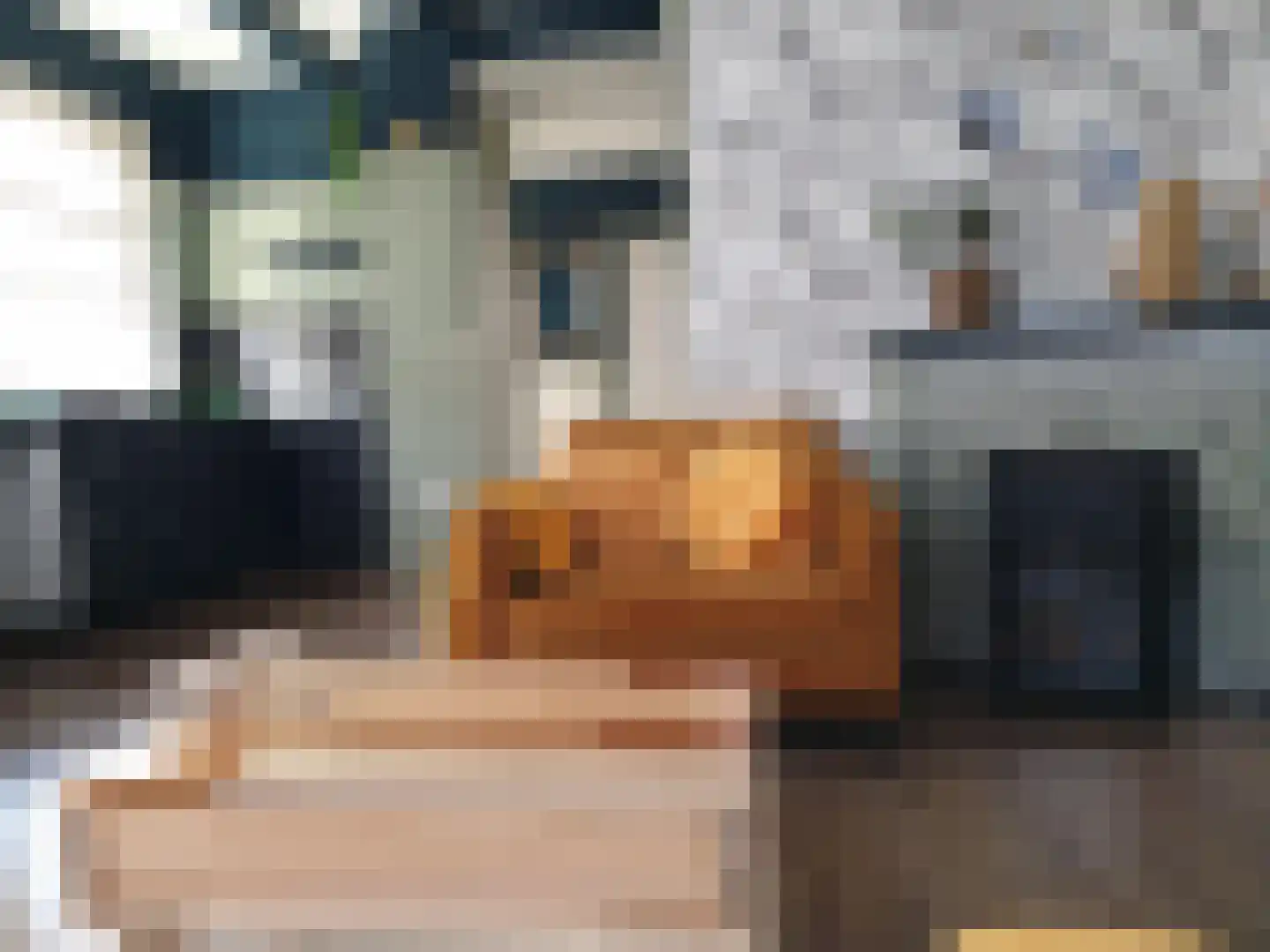Nijbuorren 8 Ternaard thumbnail 43