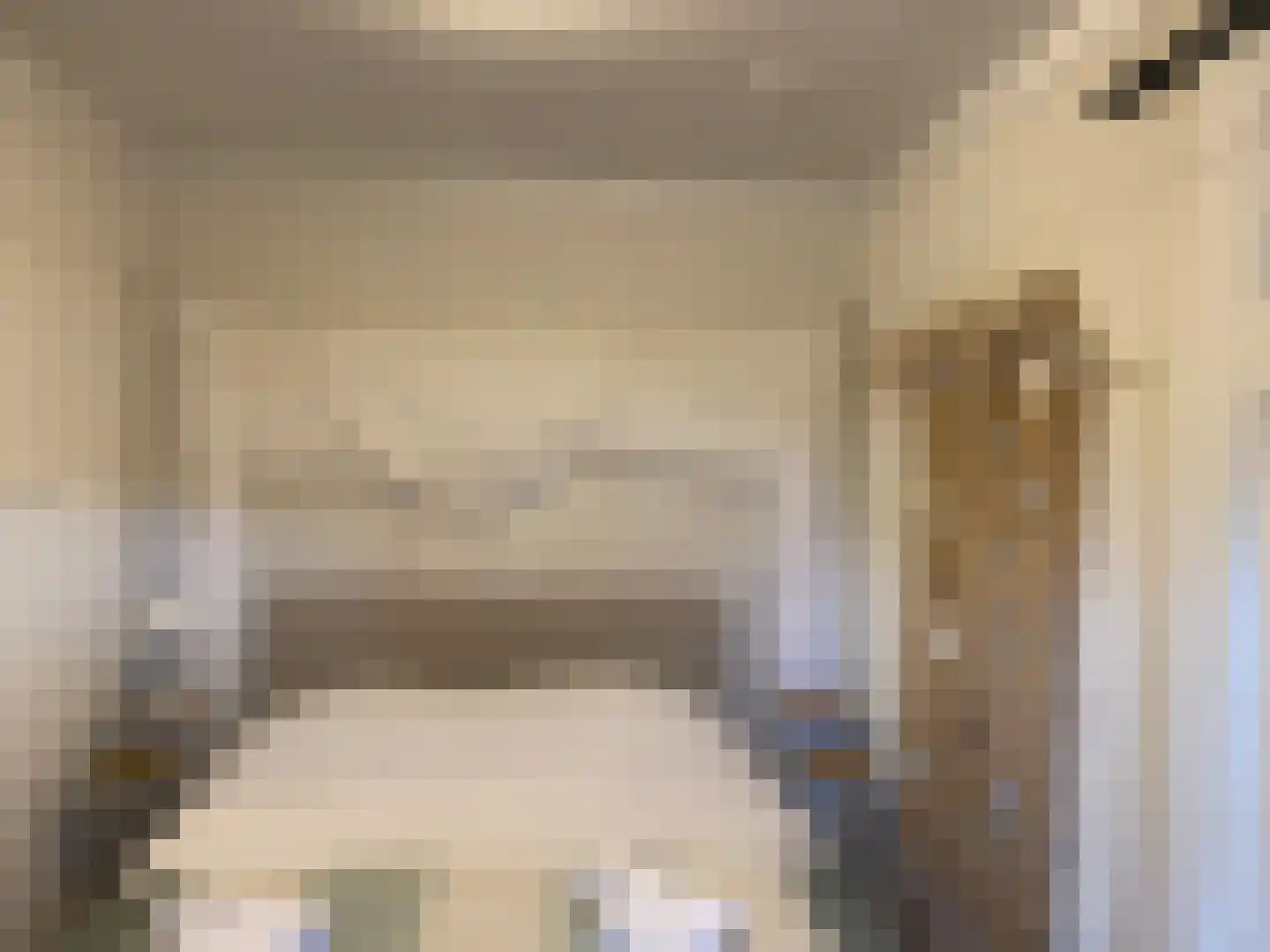 Nijbuorren 8 Ternaard thumbnail 47
