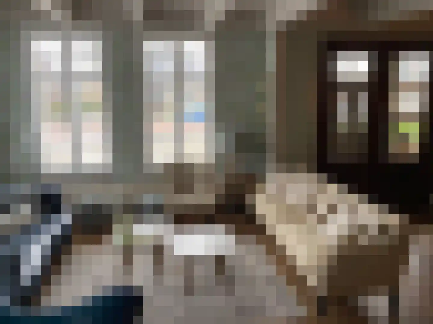 Nijbuorren 8 Ternaard thumbnail 50