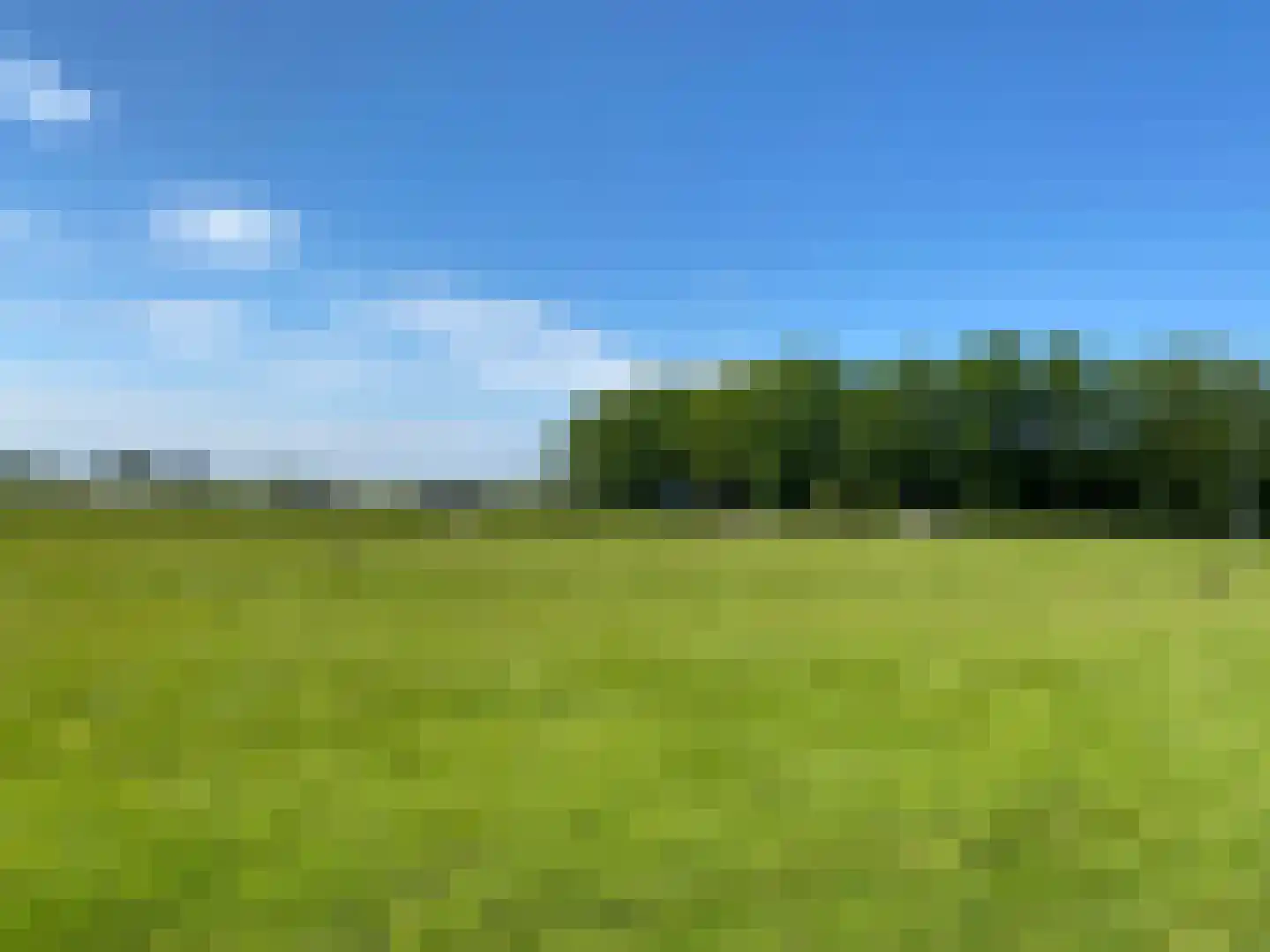 Nijbuorren 8 Ternaard thumbnail 52