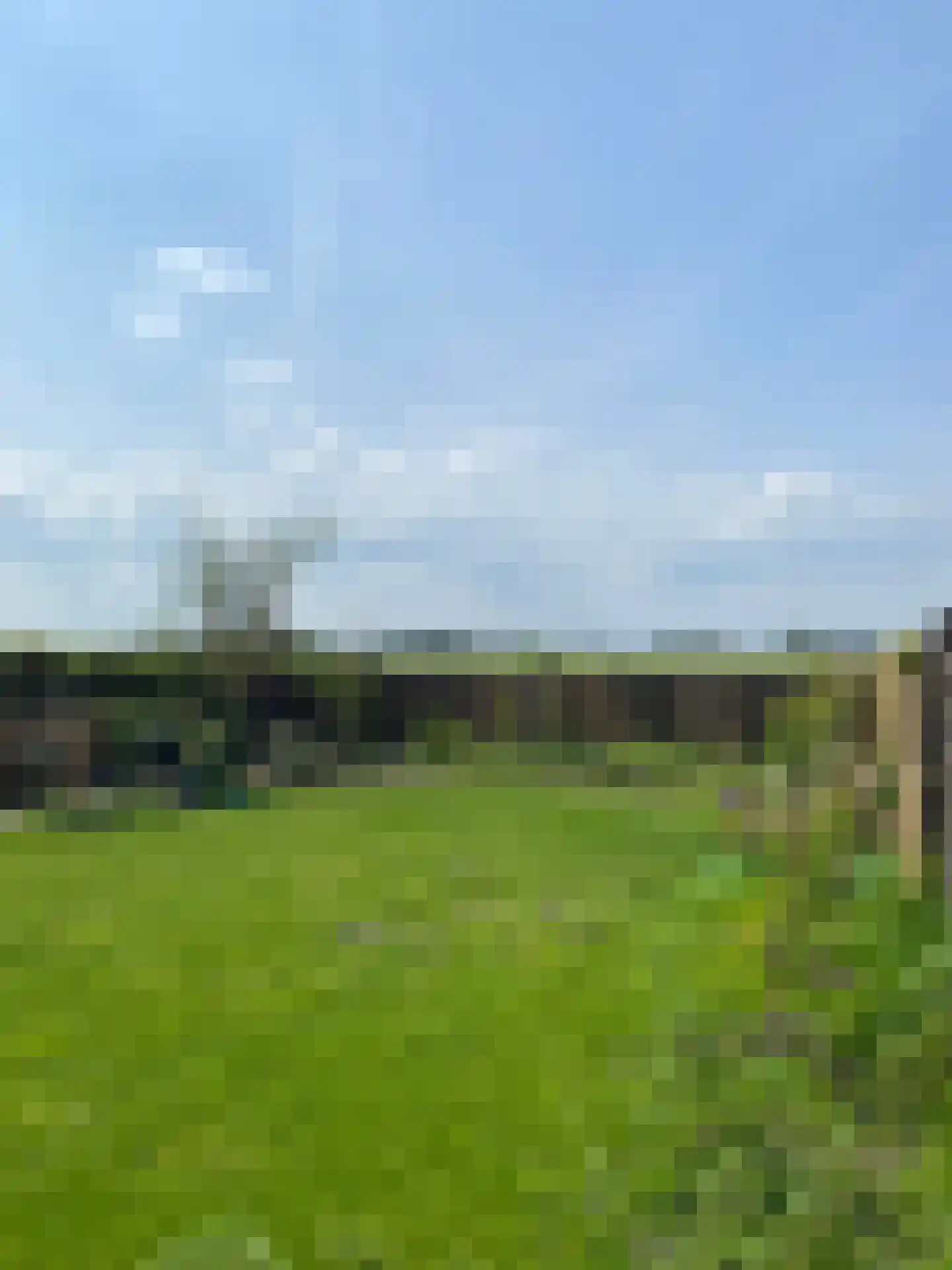 Nijbuorren 8 Ternaard thumbnail 53