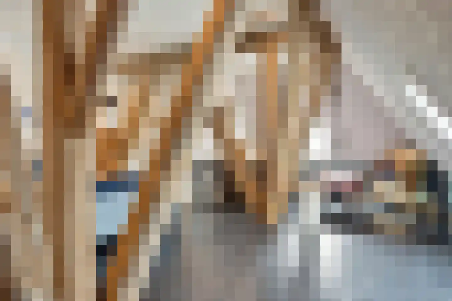 Nijbuorren 8 Ternaard thumbnail 7