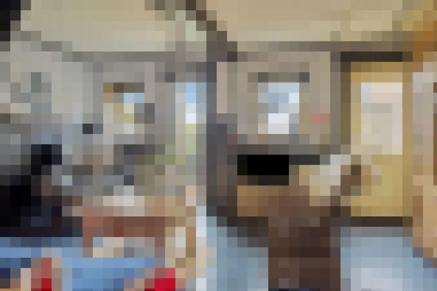 Nijbuorren 8 Ternaard thumbnail 8