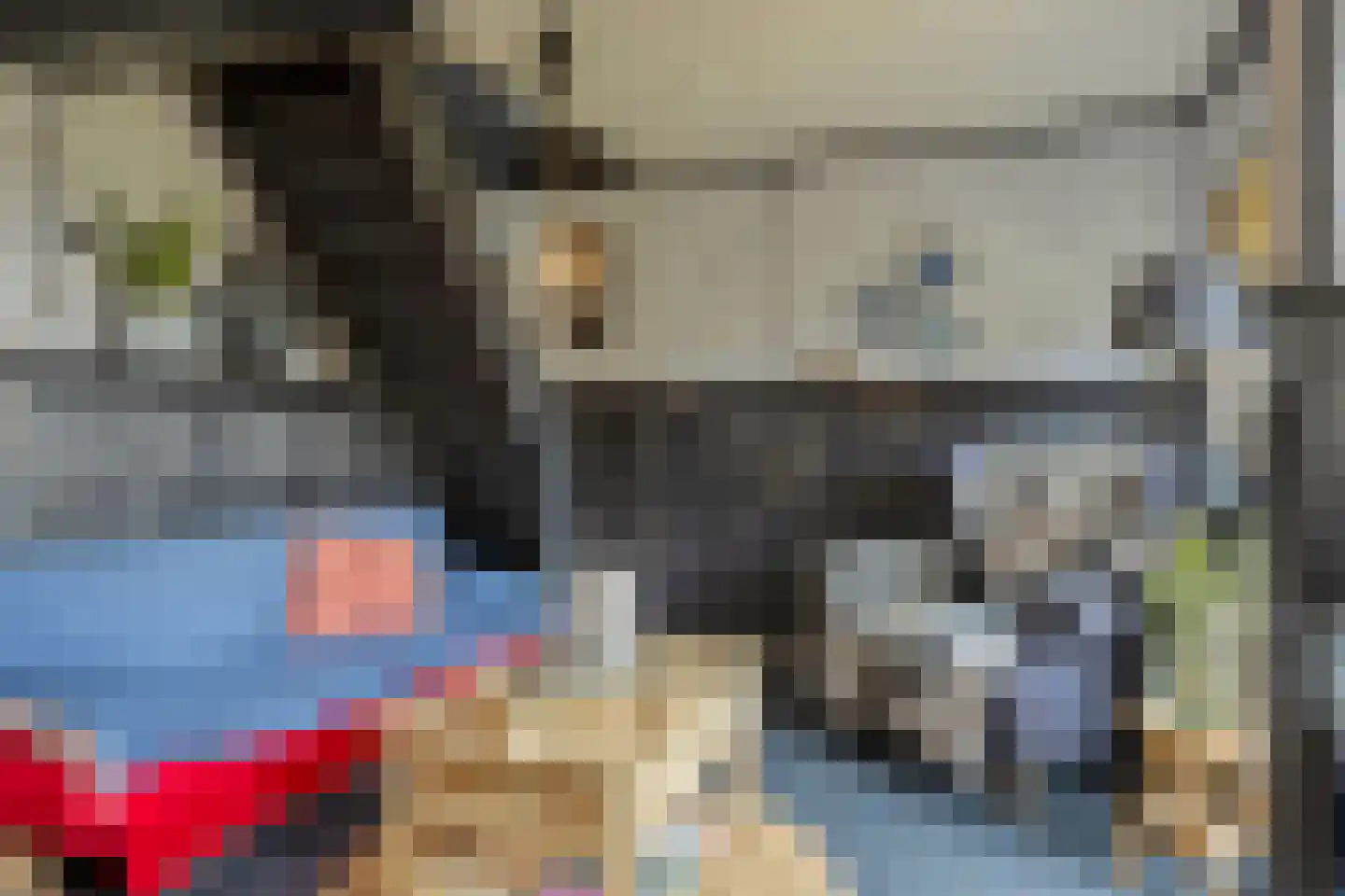 Nijbuorren 8 Ternaard thumbnail 9