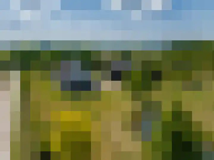 Nijburgsestraat 14 Randwijk thumbnail 64