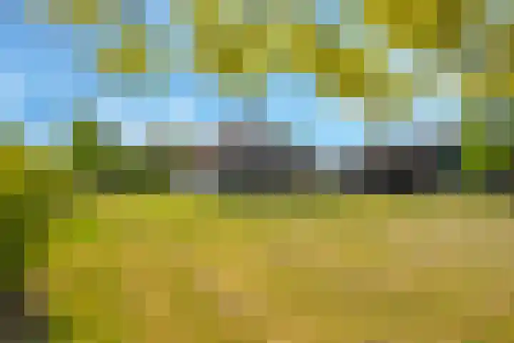 Nijburgsestraat 14 Randwijk thumbnail 8