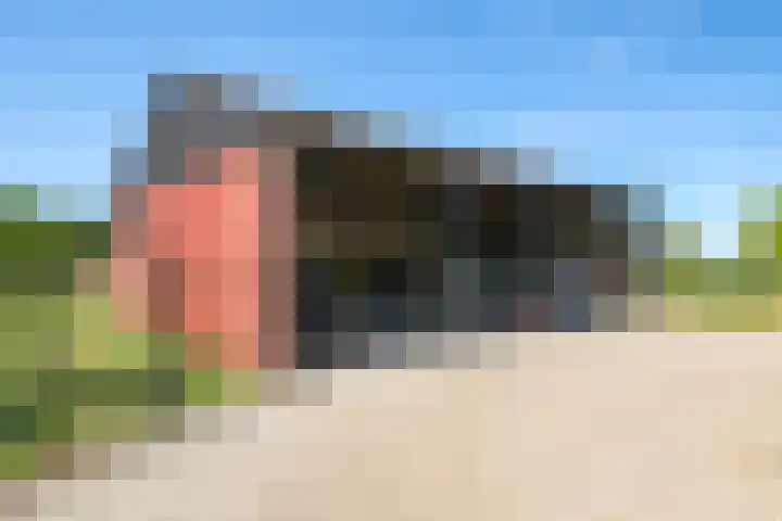 Nijburgsestraat 14 Randwijk thumbnail 86