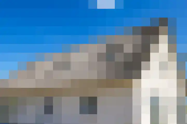 Nijburgsestraat 14 Randwijk thumbnail 88