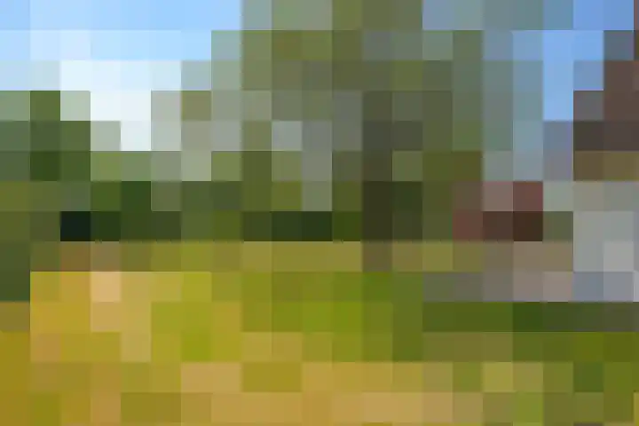 Nijburgsestraat 14 Randwijk thumbnail 90