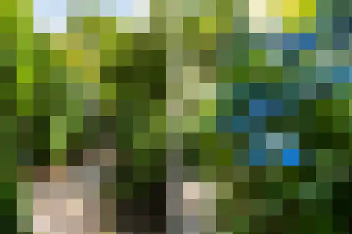 Nijdamstrastate 12 Leeuwarden thumbnail 30