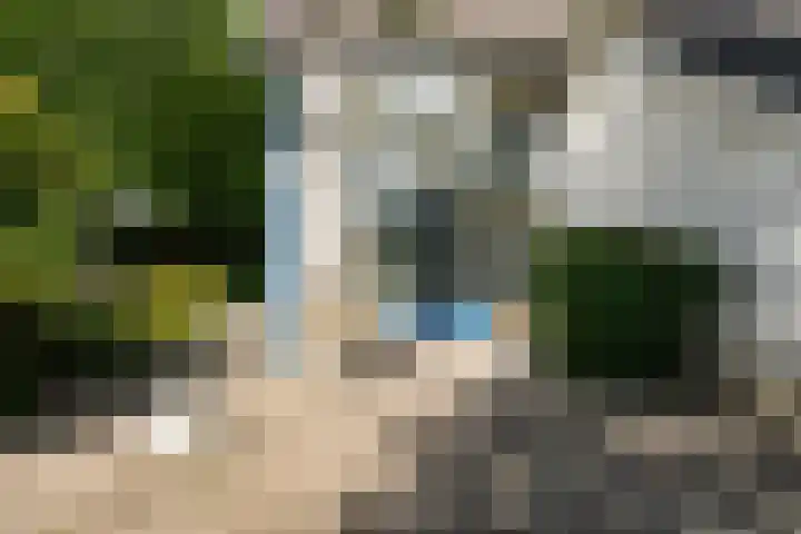 Nijdamstrastate 12 Leeuwarden thumbnail 32