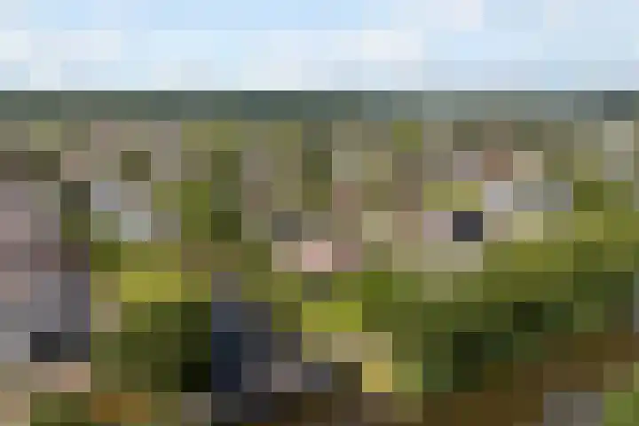Nijdamstrastate 12 Leeuwarden thumbnail 56
