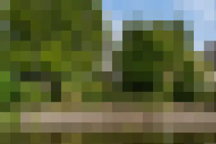 Nijdamstrastate 12 Leeuwarden thumbnail 6