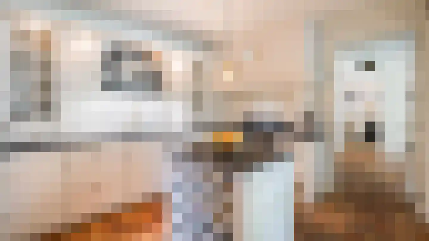 Nije Allee 12 Almelo thumbnail 10