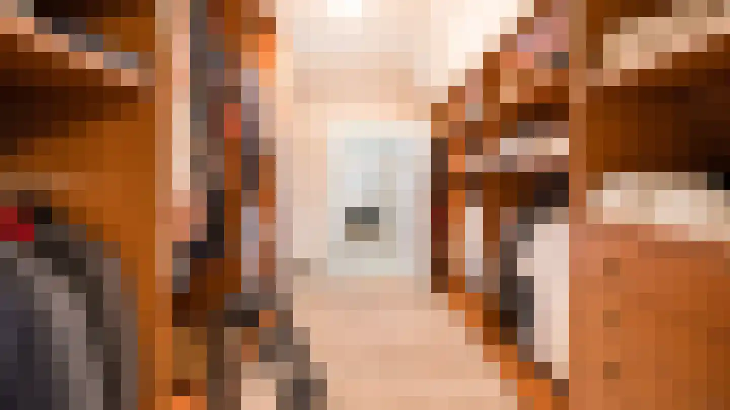 Nije Allee 12 Almelo thumbnail 31