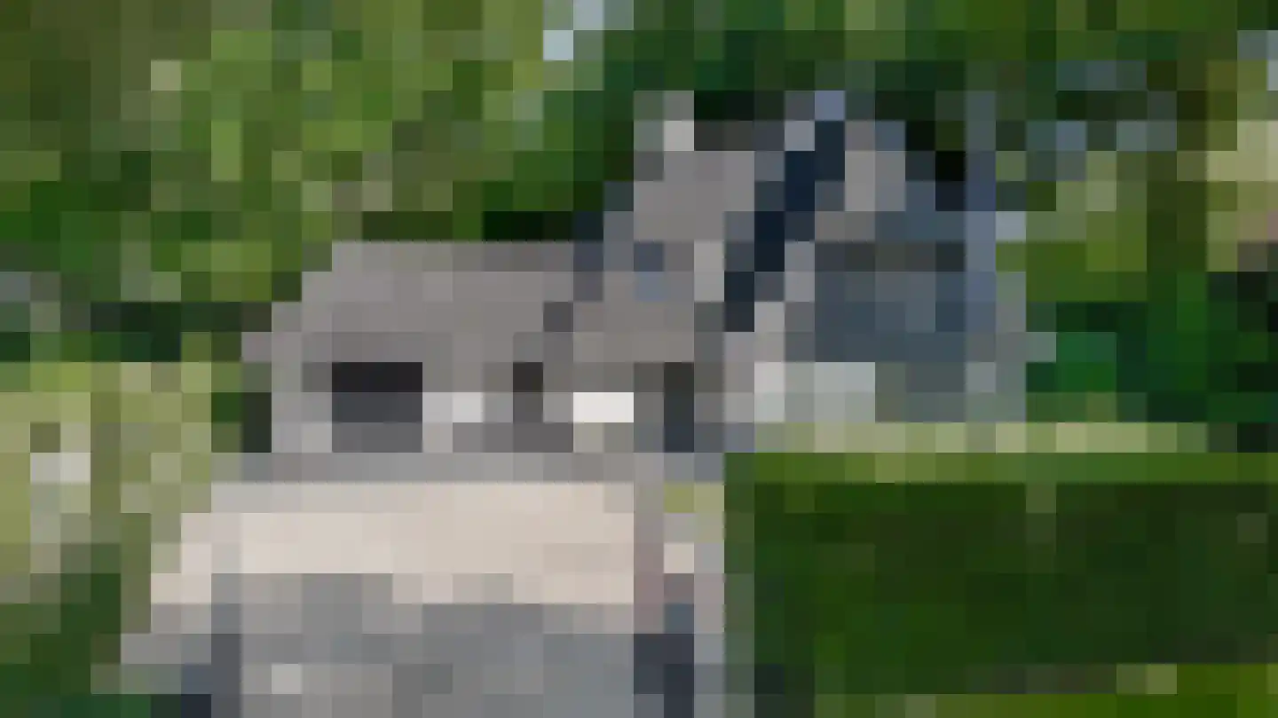 Nije Allee 12 Almelo thumbnail 4