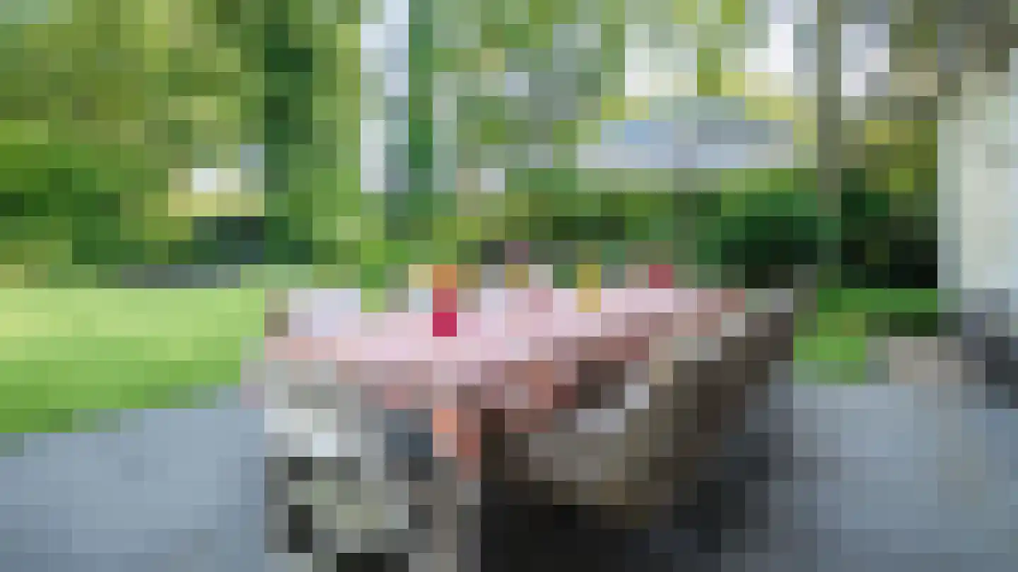 Nije Allee 12 Almelo thumbnail 42